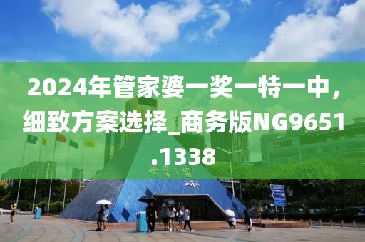 2024年管家婆一奖一特一中，细致方案选择_商务版NG9651.1338