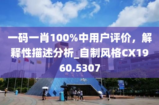 一码一肖100%中用户评价，解释性描述分析_自制风格CX1960.5307
