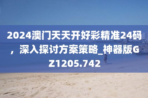 2024澳门天天开好彩精准24码，深入探讨方案策略_神器版GZ1205.742