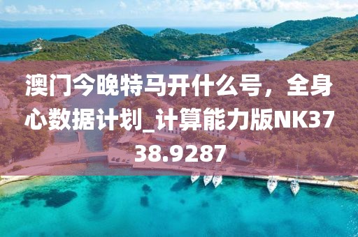 澳门今晚特马开什么号，全身心数据计划_计算能力版NK3738.9287