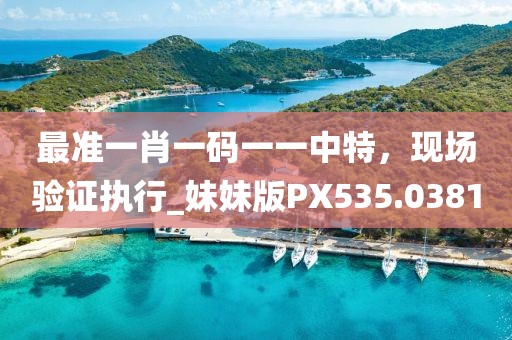 最准一肖一码一一中特，现场验证执行_妹妹版PX535.0381