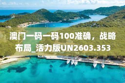 澳门一码一码100准确，战略布局_活力版UN2603.353
