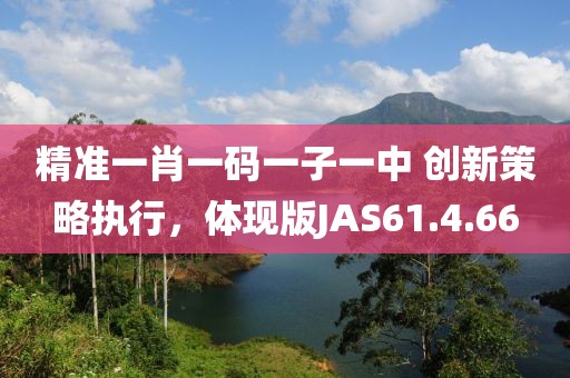 精准一肖一码一子一中 创新策略执行，体现版JAS61.4.66