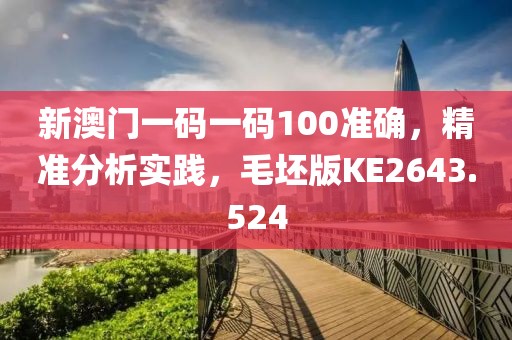 新澳门一码一码100准确，精准分析实践，毛坯版KE2643.524
