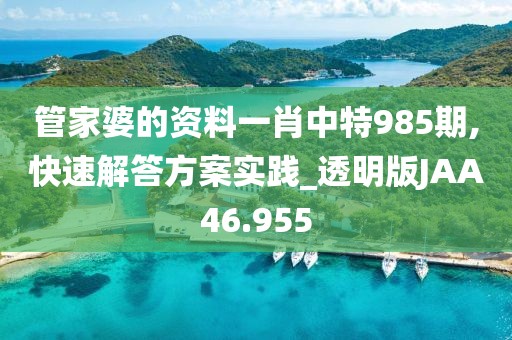 管家婆的资料一肖中特985期,快速解答方案实践_透明版JAA46.955