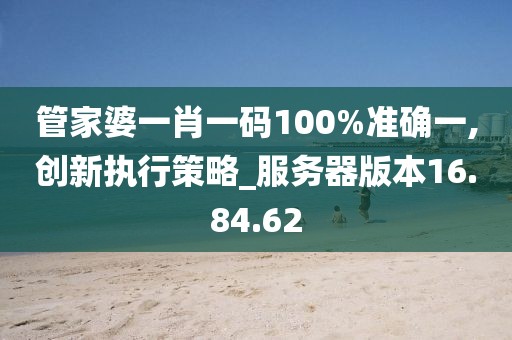 管家婆一肖一码100%准确一,创新执行策略_服务器版本16.84.62